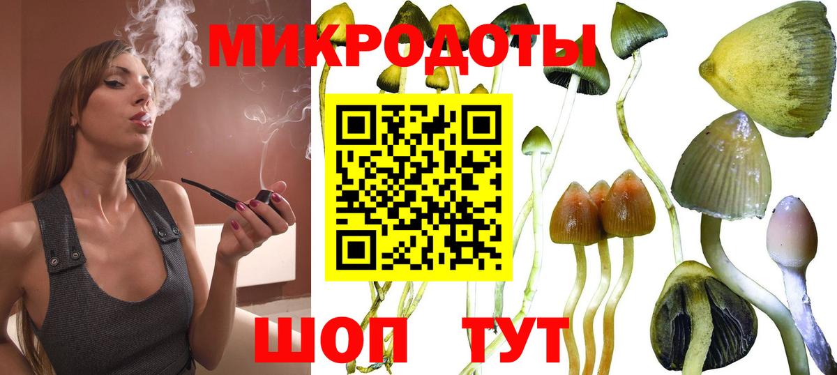 Псилоцибиновые грибы Cubensis Заринск