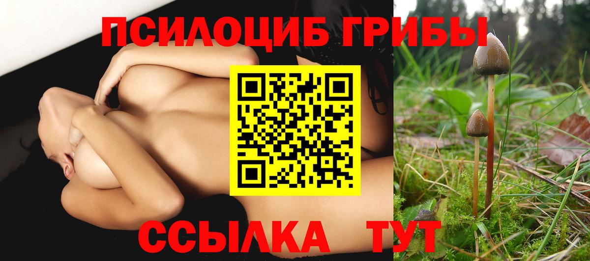 Псилоцибиновые грибы GOLDEN TEACHER  Вход с VPN  Заринск 